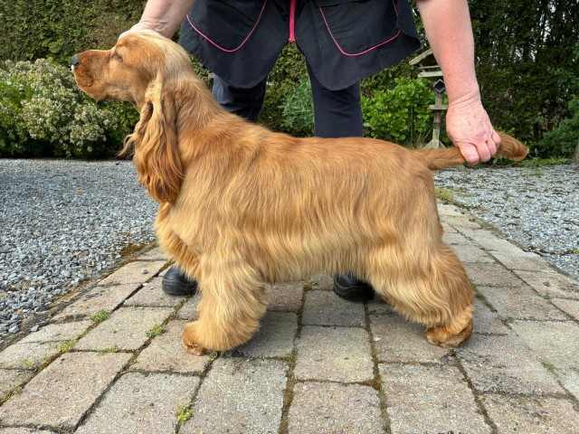 WhatsApp Image 2025 05 07 At 08.55.28 640x480